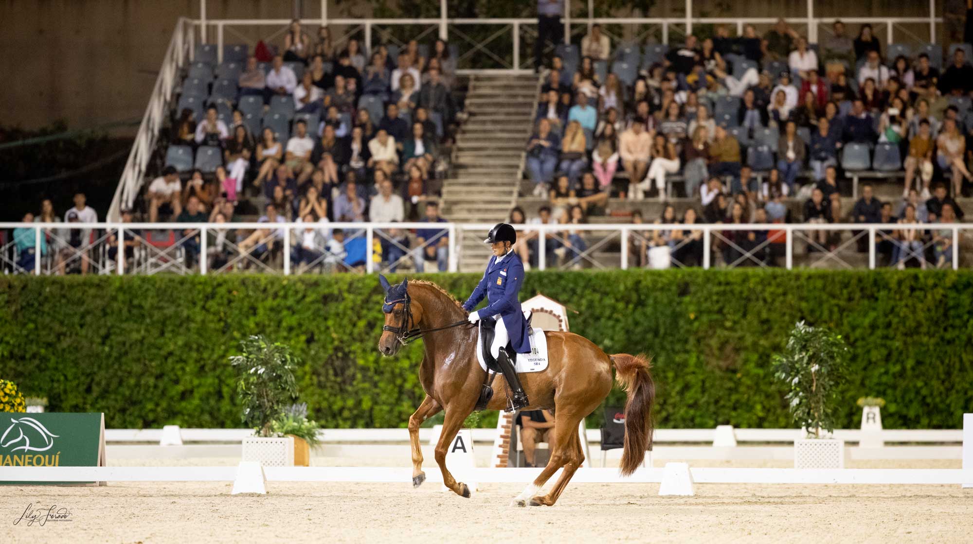 Sedes y Fechas de los Campeonatos de España 2024.