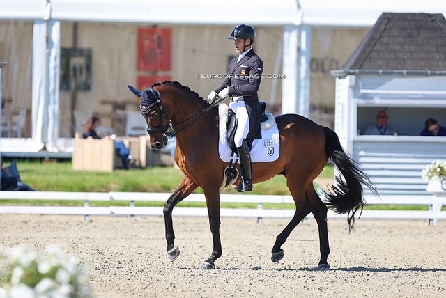 Destacable actuación de Pablo Gómez en el CDI3* de Meerle