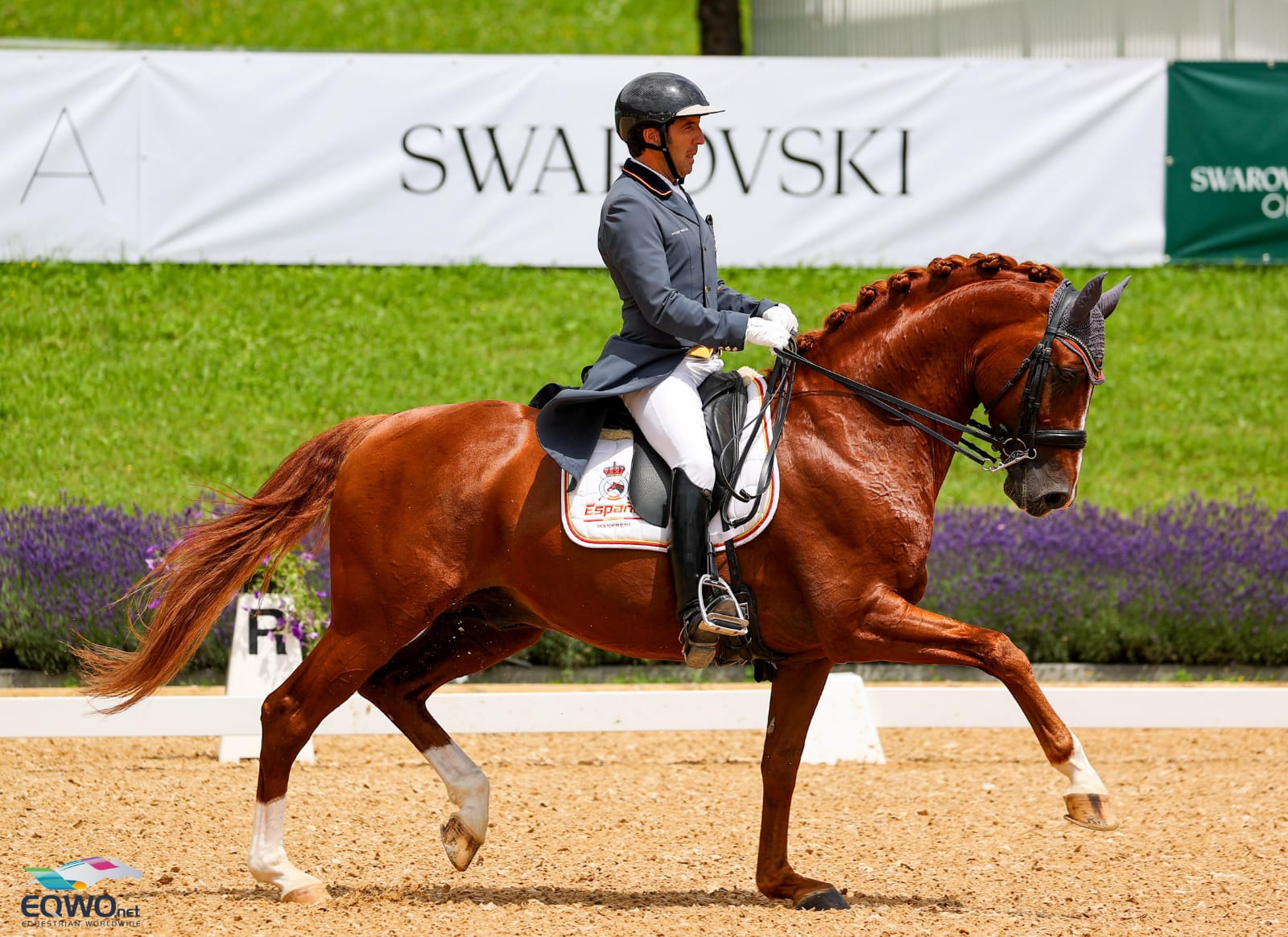 CDI4* Fritzens: Claudio Castilla ´septimo con Lario de Adama de Susa en el Gp puntuable para la Kur