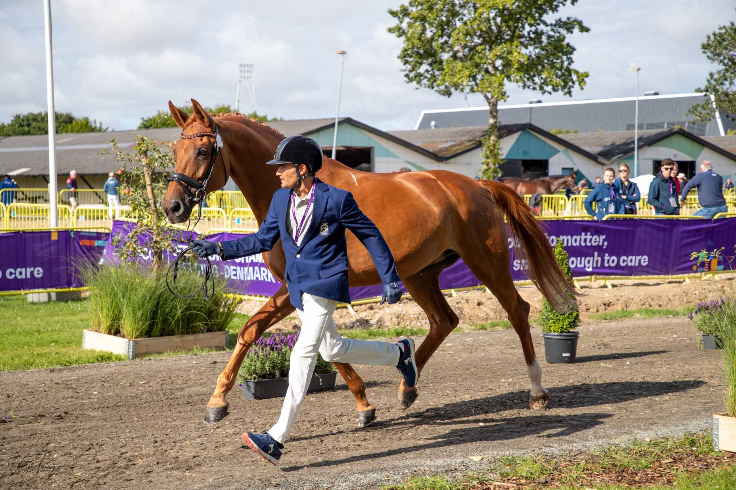 El Campeonato del Mundo arranca con la inspección veterinaria