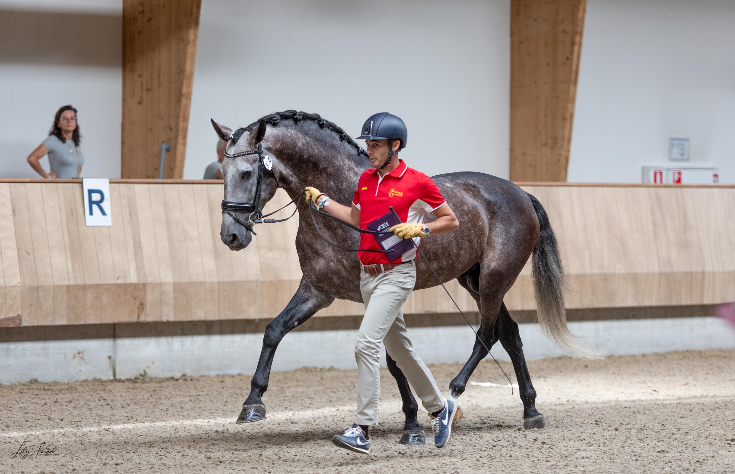 Ermelo 22 da la bienvenida de nuevo al Cto. del Mundo de Caballos Jóvenes