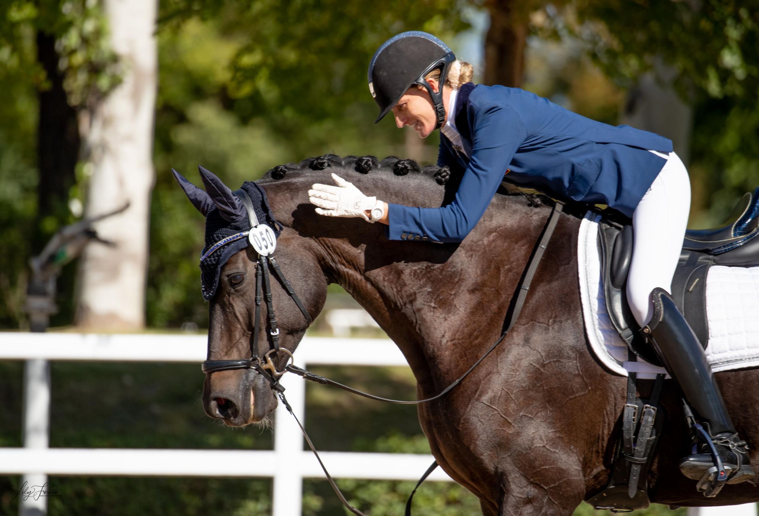 Primer asalto del Cto. de Caballos Jóvenes 22 con gran calidad