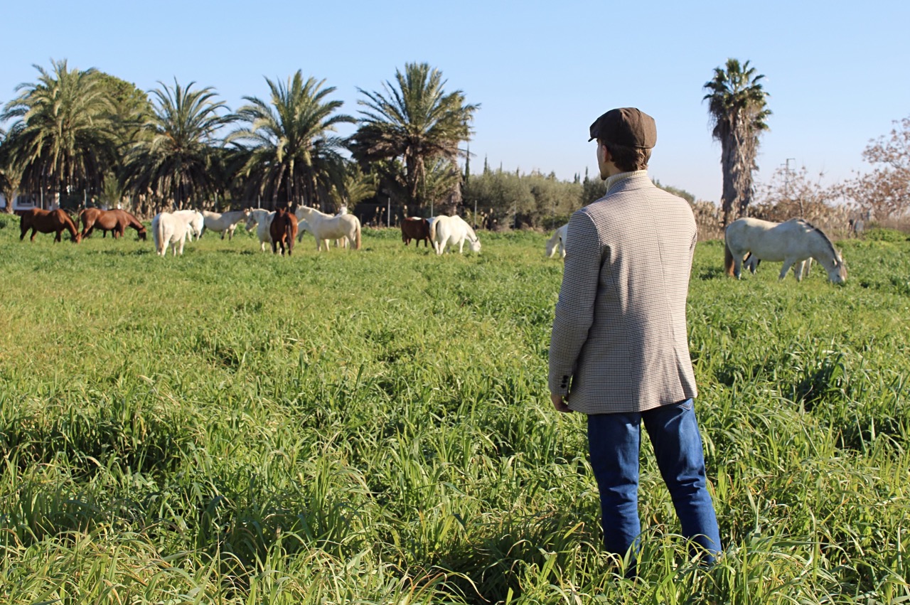 El éxito de «MundocaballoPRE» que está a caballo entre anonimato, pasión y entendimiento.