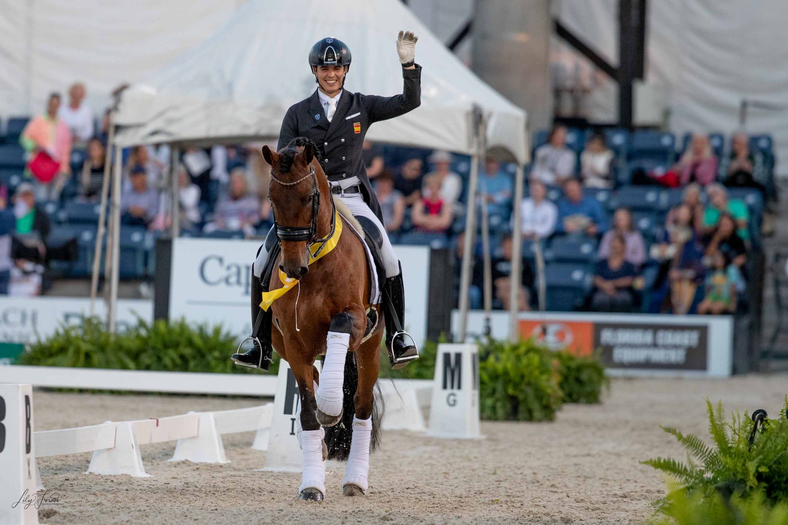 Pablo Gómez brilla y cierra el podio del GPS del CDI5* en Wellington