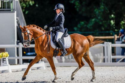 Itziar Alonso pierde a su poni  «Groeze’s Rakker» en un accidente de tráfico