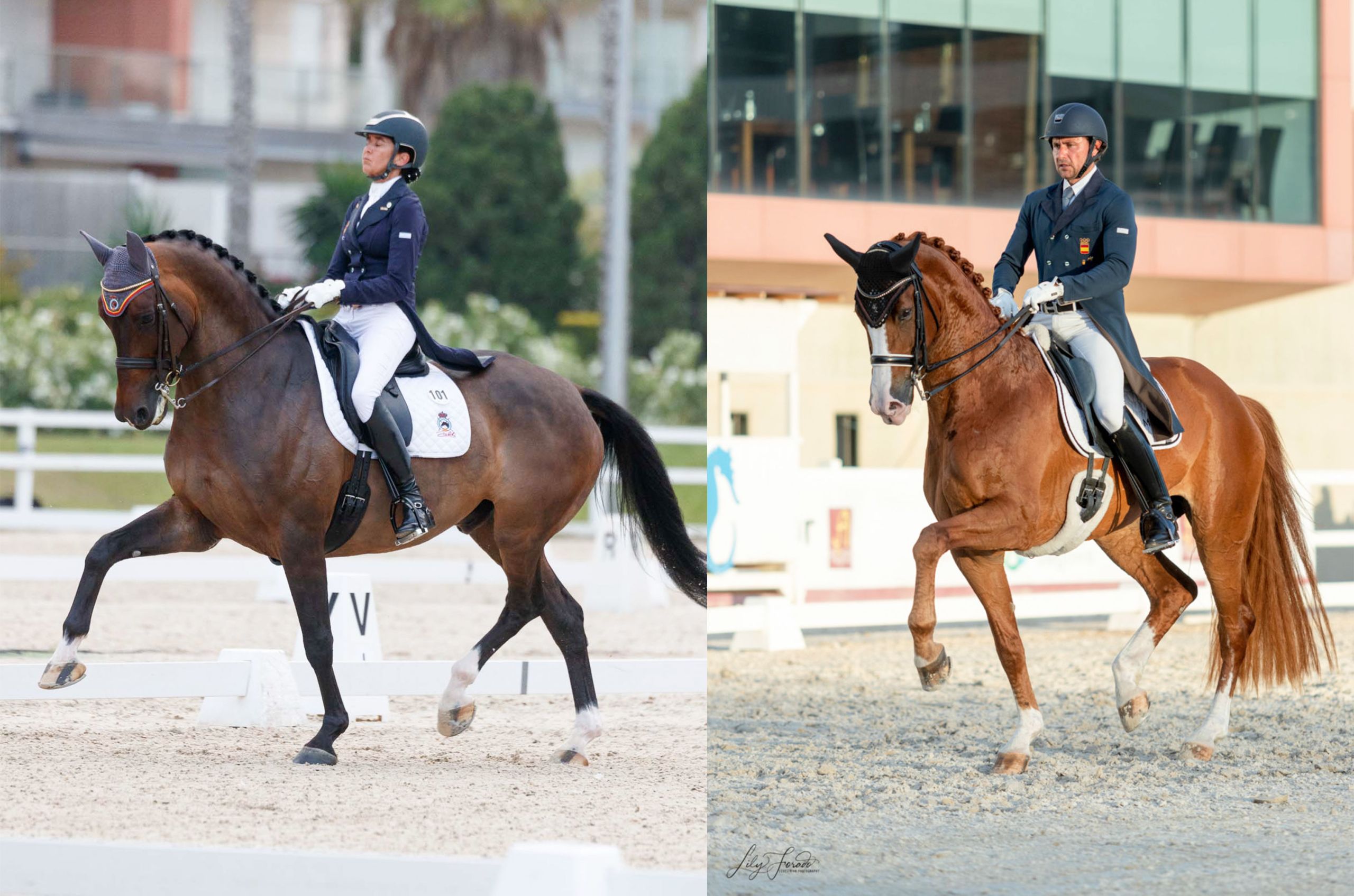 «Elegance» y «Sonata DSH» vuelven a la carga en el CDN2* Del Real Club de Polo de Barcelona.