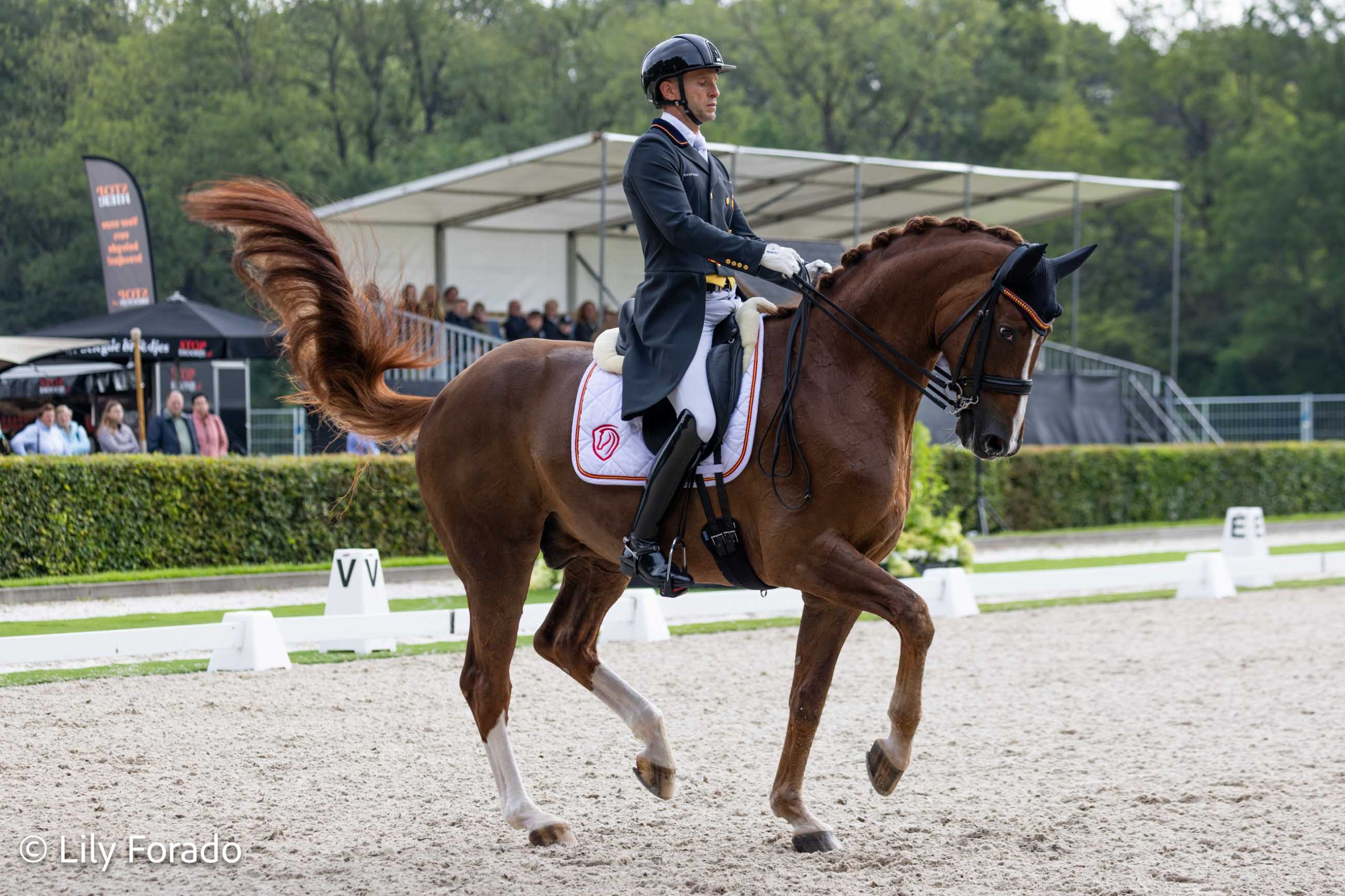 Gran presencia española en el CDI5* de Frankfurt