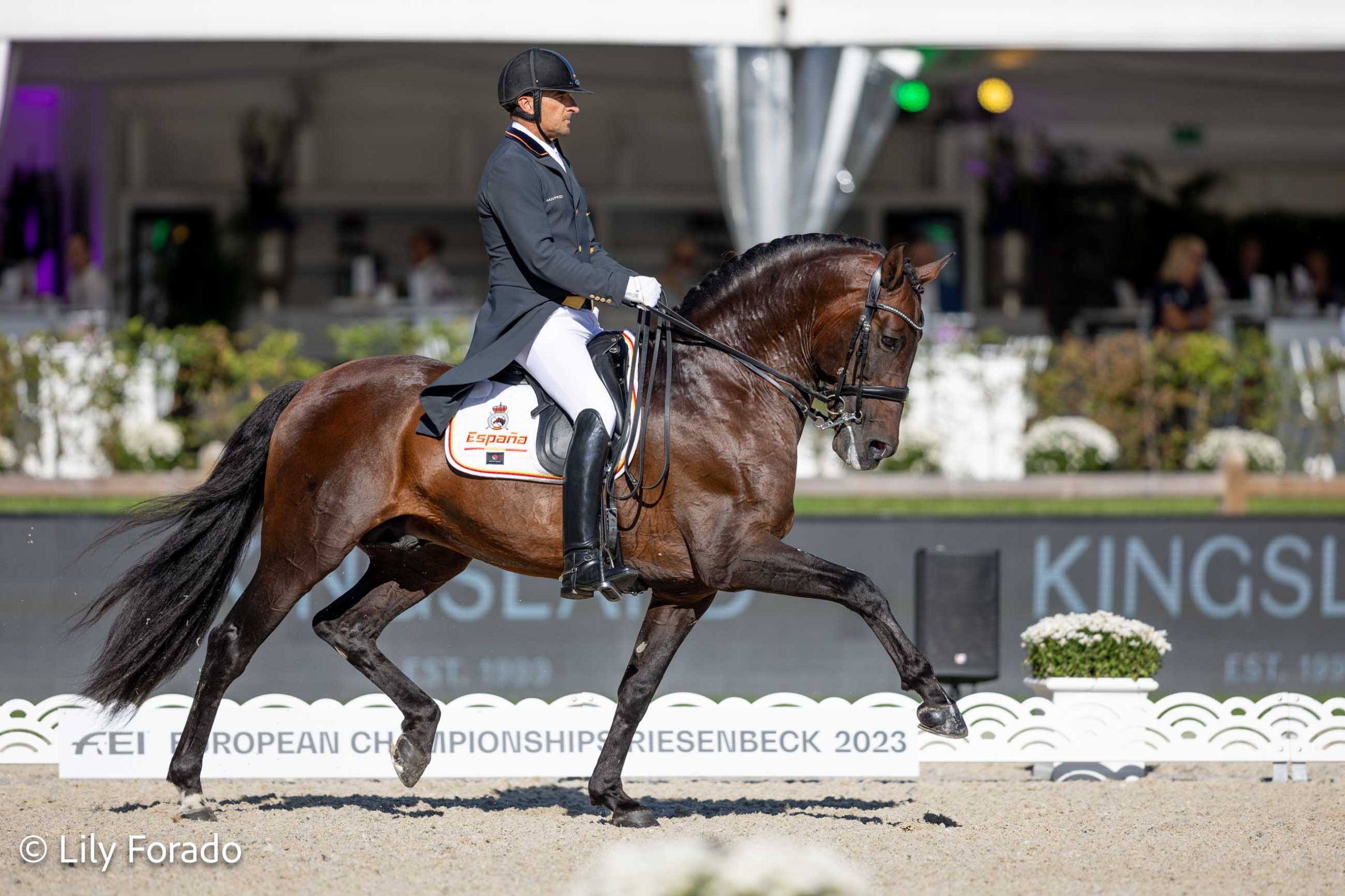 José Daniel Martin Dockx se queda a las puertas del podio en el GP del CDI4* de Kronberg