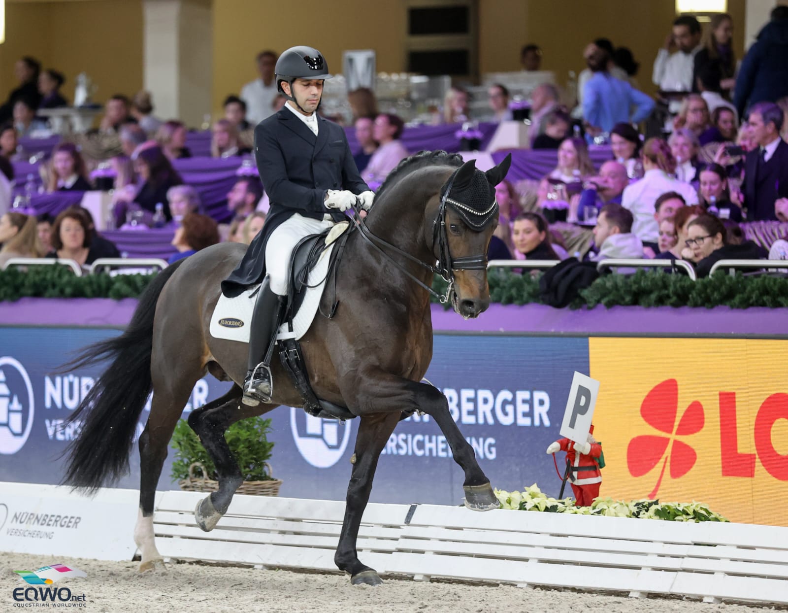 Debut dorado de Manuel Dominguez con Escamillo en Intermedia II