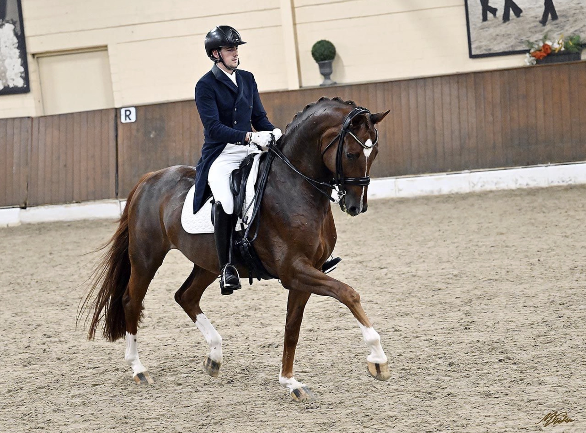 Gonzalo Castillo y sus dos ases de Gran Premio para 2024 : “Million Dreams” y “Qatar”. 