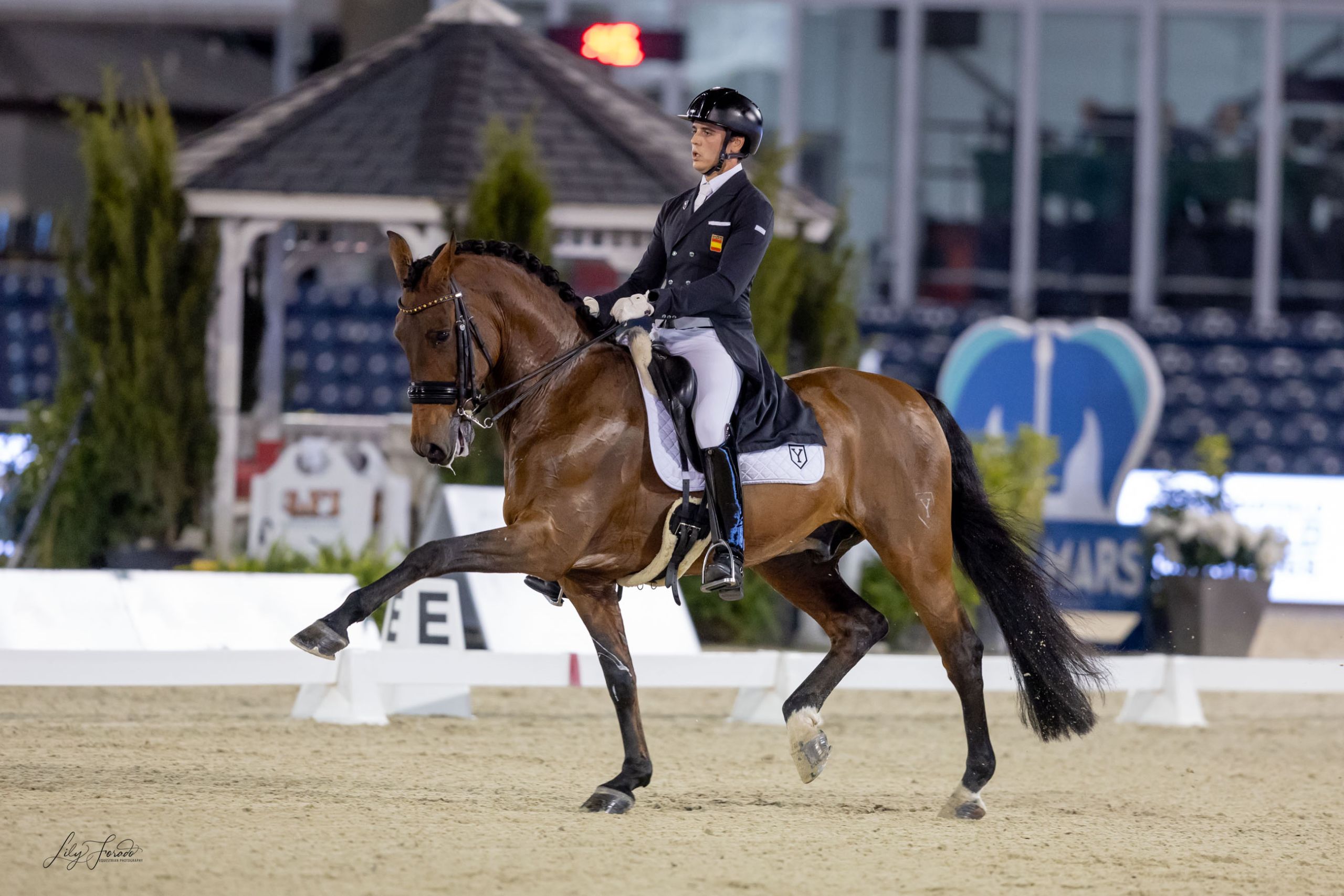 Pablo Gómez, entre los seis mejores  del Gran Premio del CDI5* en Wellington