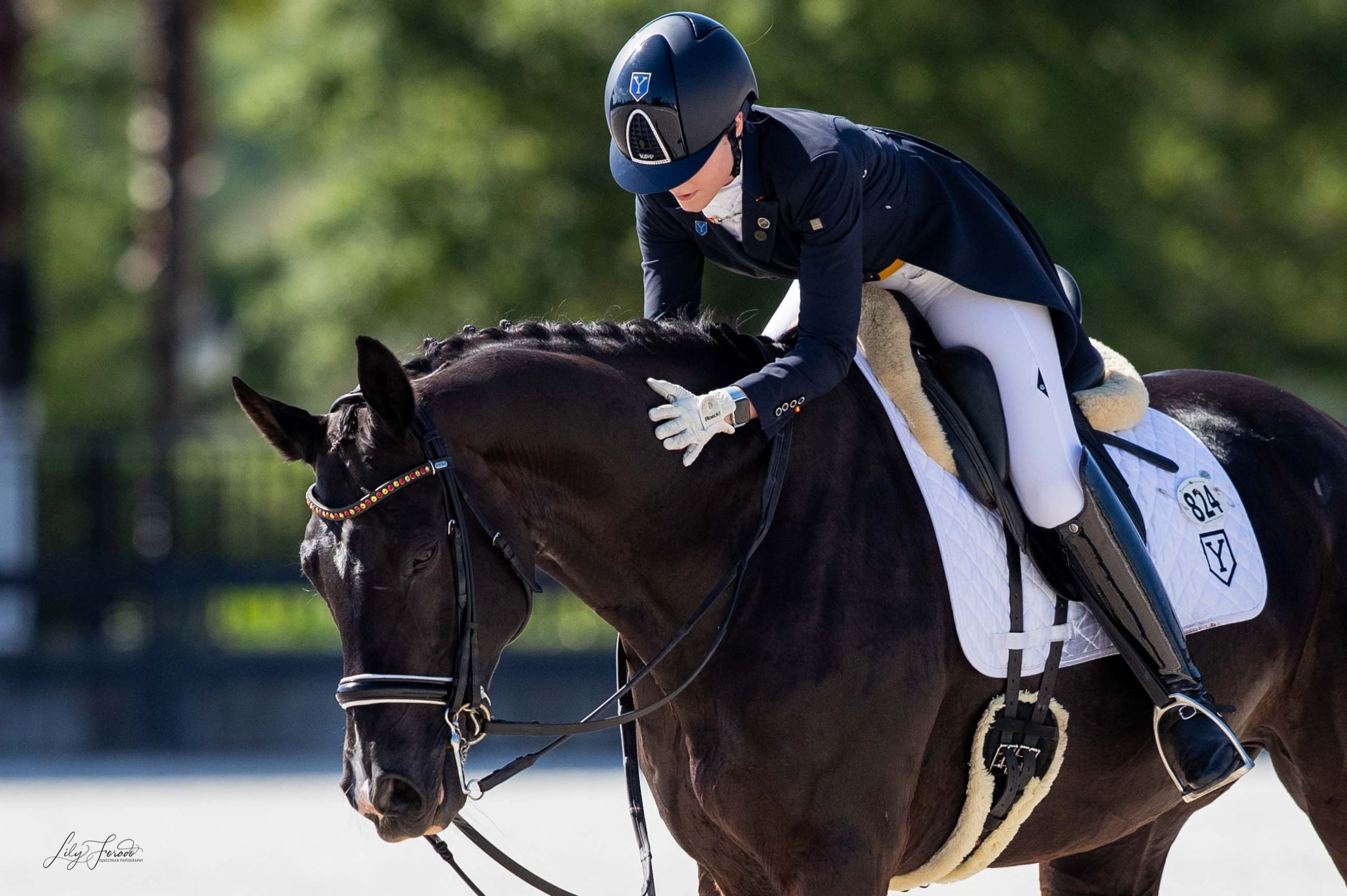 Natalia Bacariza cierra el podio en el CDI1* de WEC,  Ocala