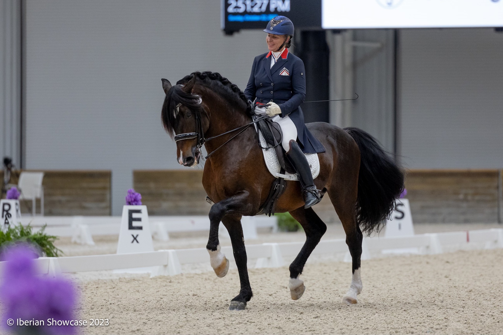 Iberian Horse Showcase regresa a Ocala con una impresionante tercera edición