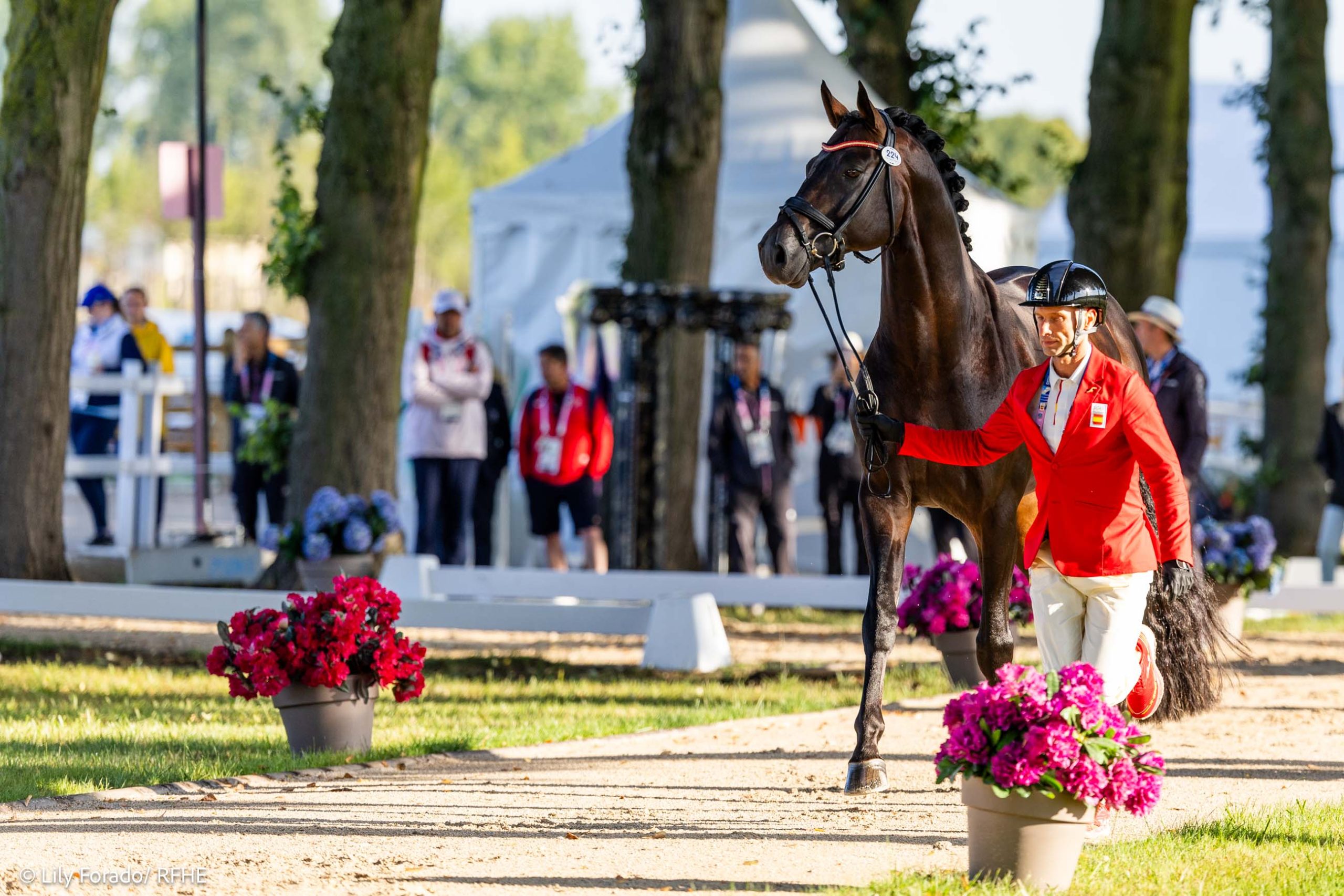 La visión del caballo - Lily Forado