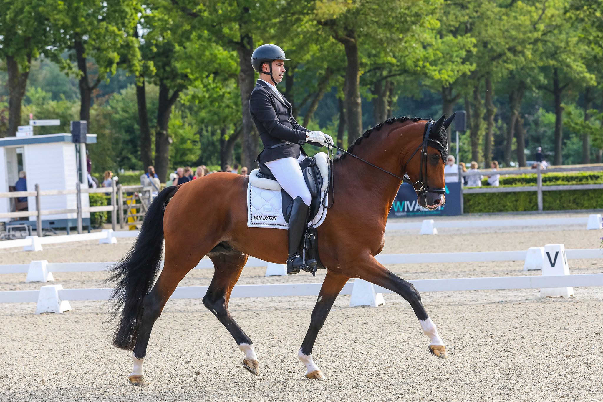 Álvaro Rodríguez se proclama campeón de Holanda (KNHS) con Patheon  en 4 años