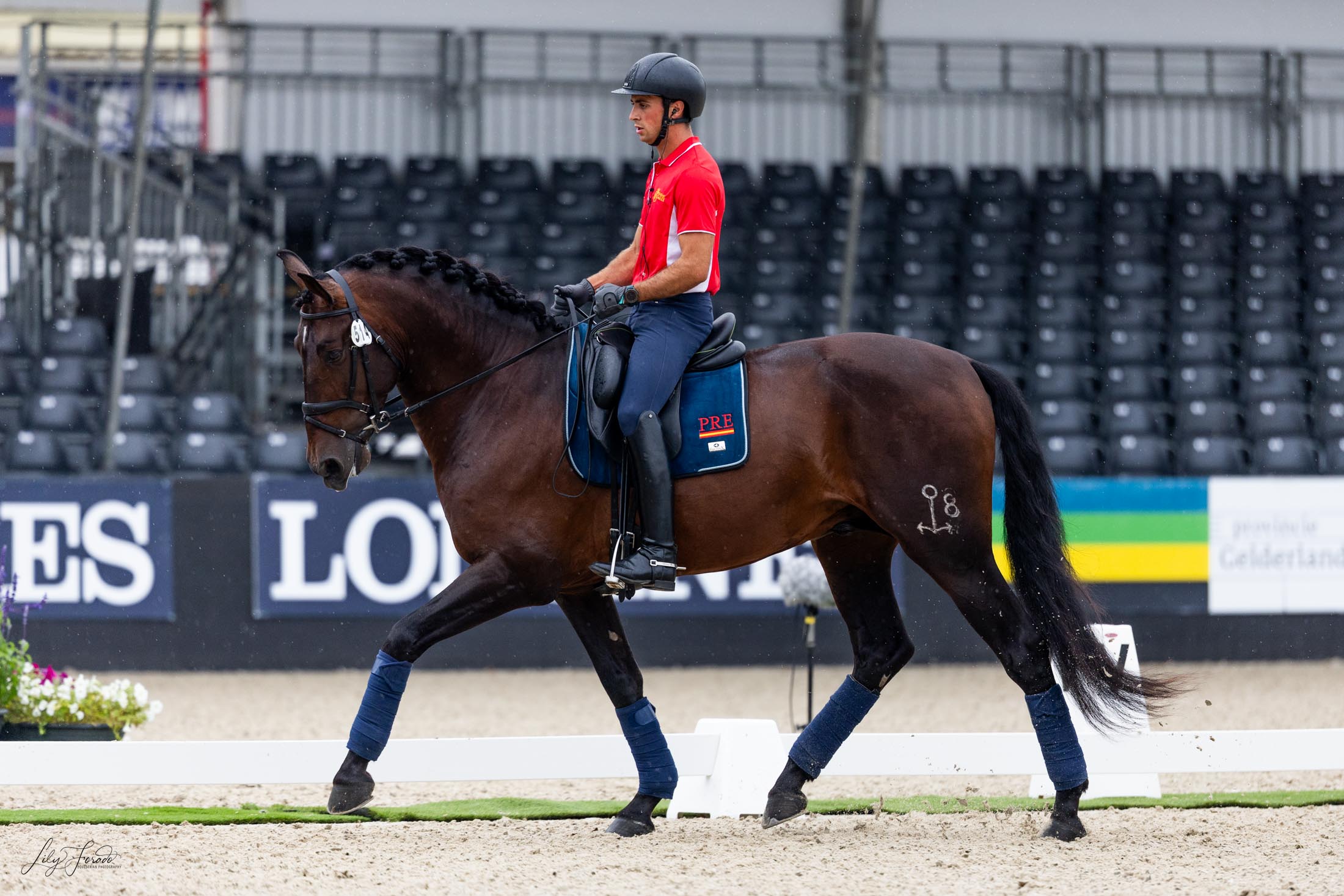 Arranca el Cto. del Mundo de Caballos Jóvenes de 2024.