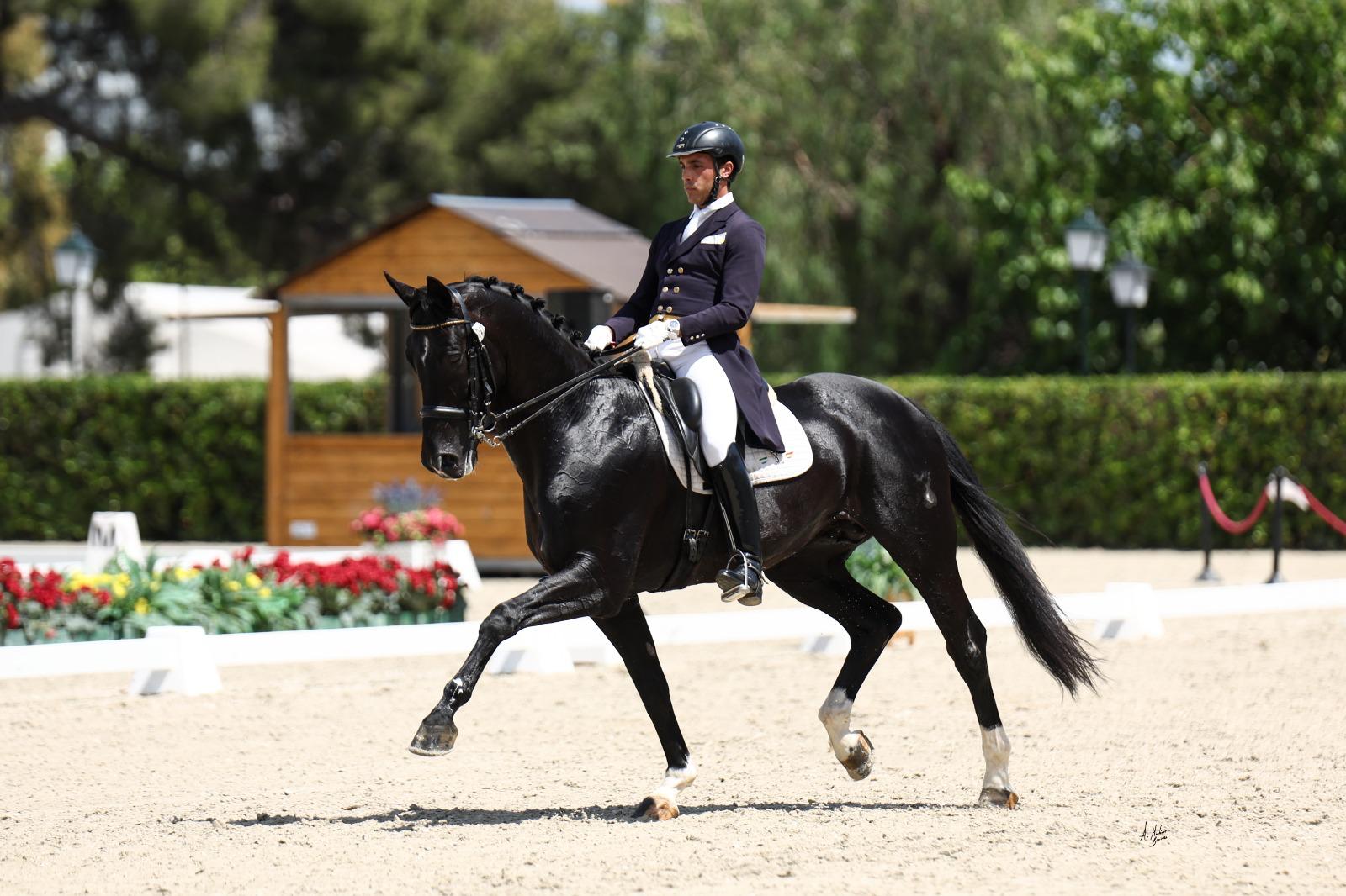 Yeguada Cordales: En la Vanguardia de la Cría del Caballo de Deporte Español