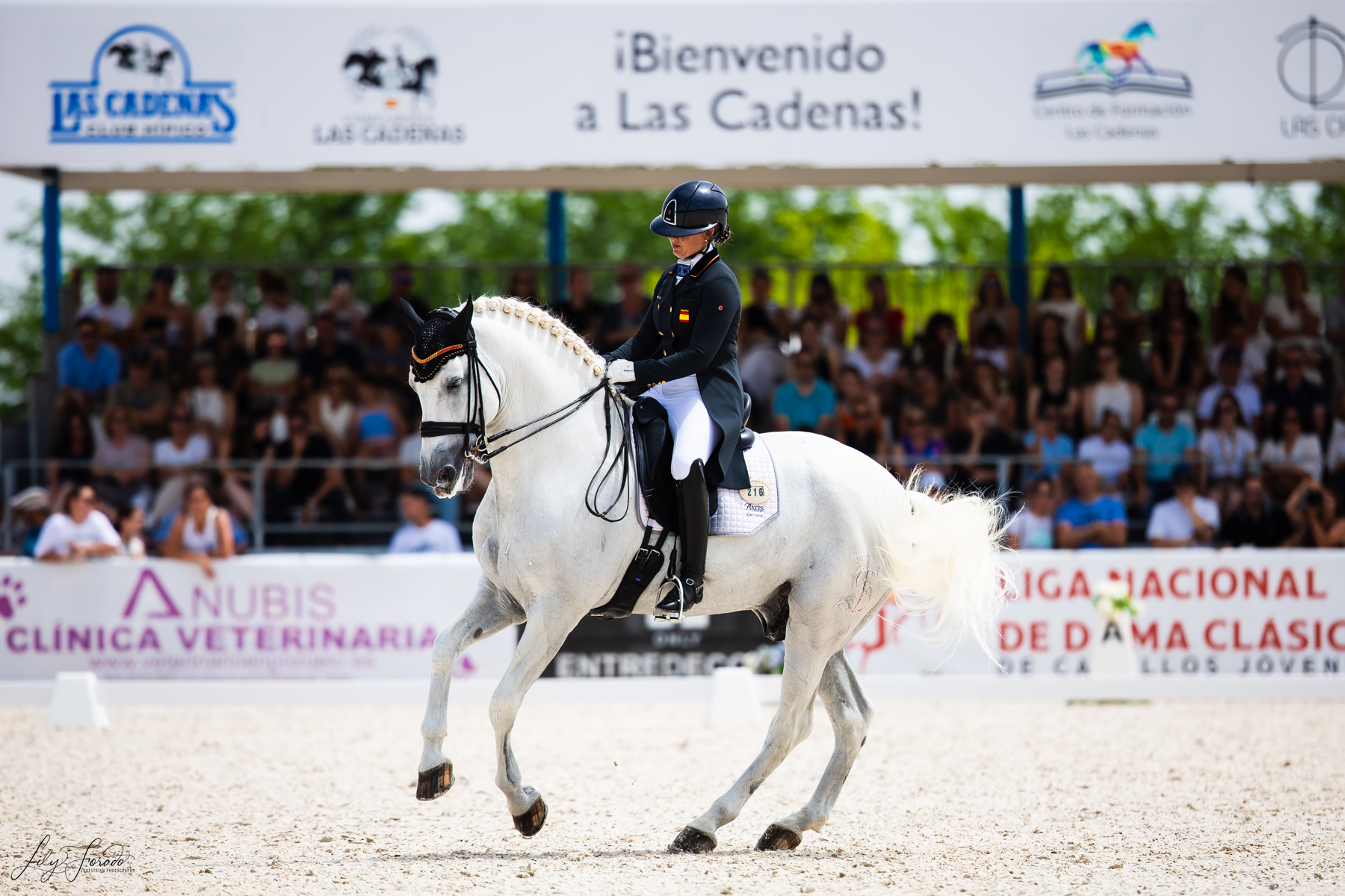Teia Hernández: «Volver a Sicab 25 con Romero de Trujillo y sus 3 hijos es un sueño!»