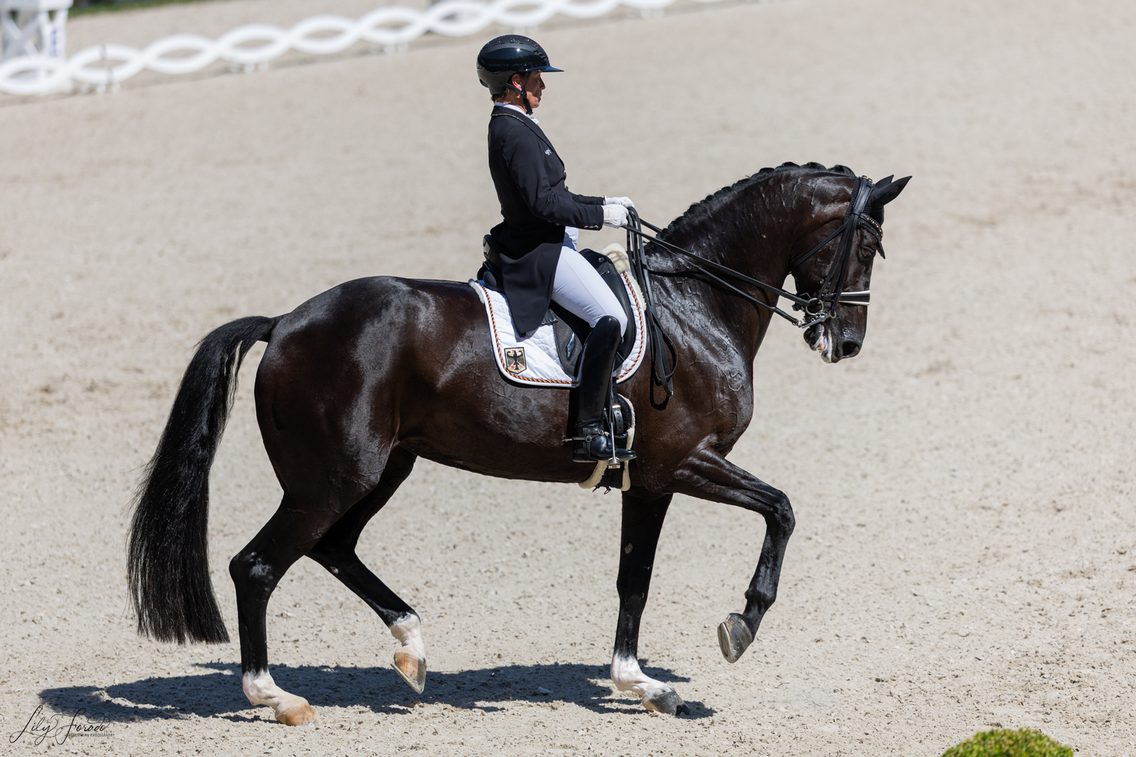 Aachen 25: Alemania continúa su reinado por equipos,  Werth triunfa batiendo récord