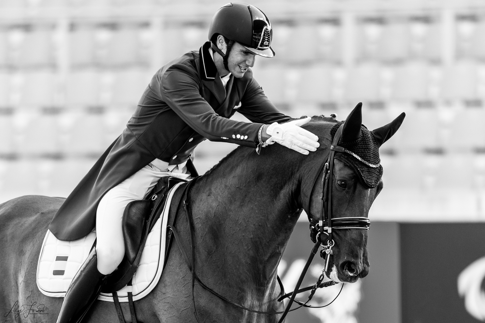 Fallece «Lexus», caballo de Juan Matute, en un accidente de tráfico