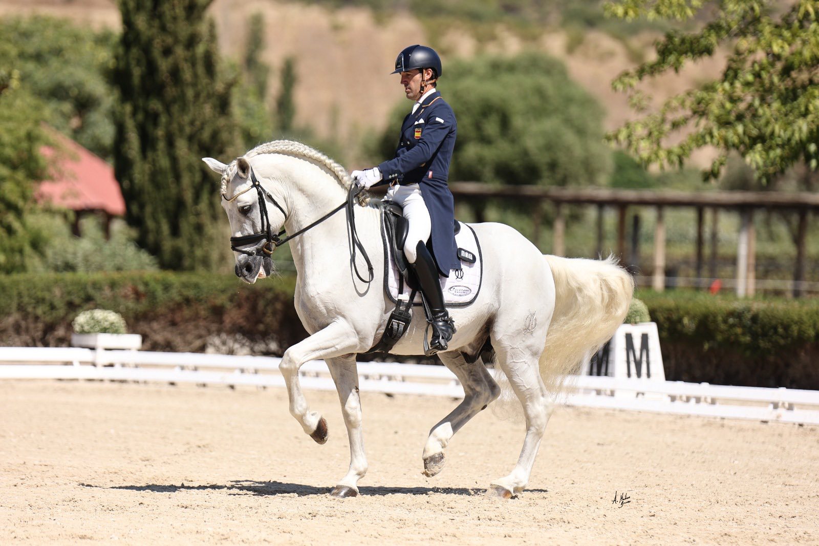 Francisco Gil: «Clasificar 6 caballos para SICAB 25 ha sido muy gratificante y vamos a por todas»