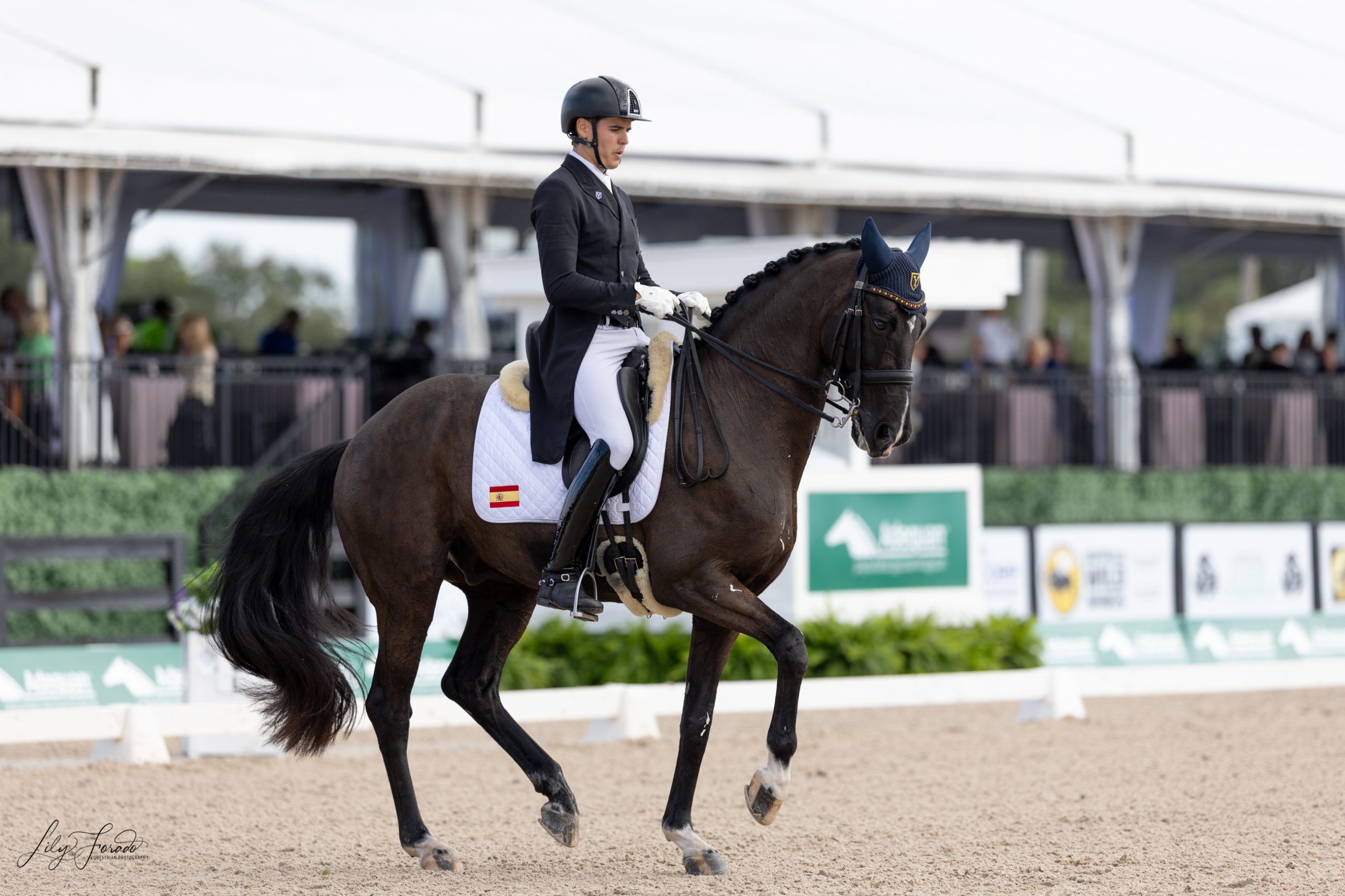 AGDF1: Pablo Gómez roza el podio en el GP del CDI3* de 2026