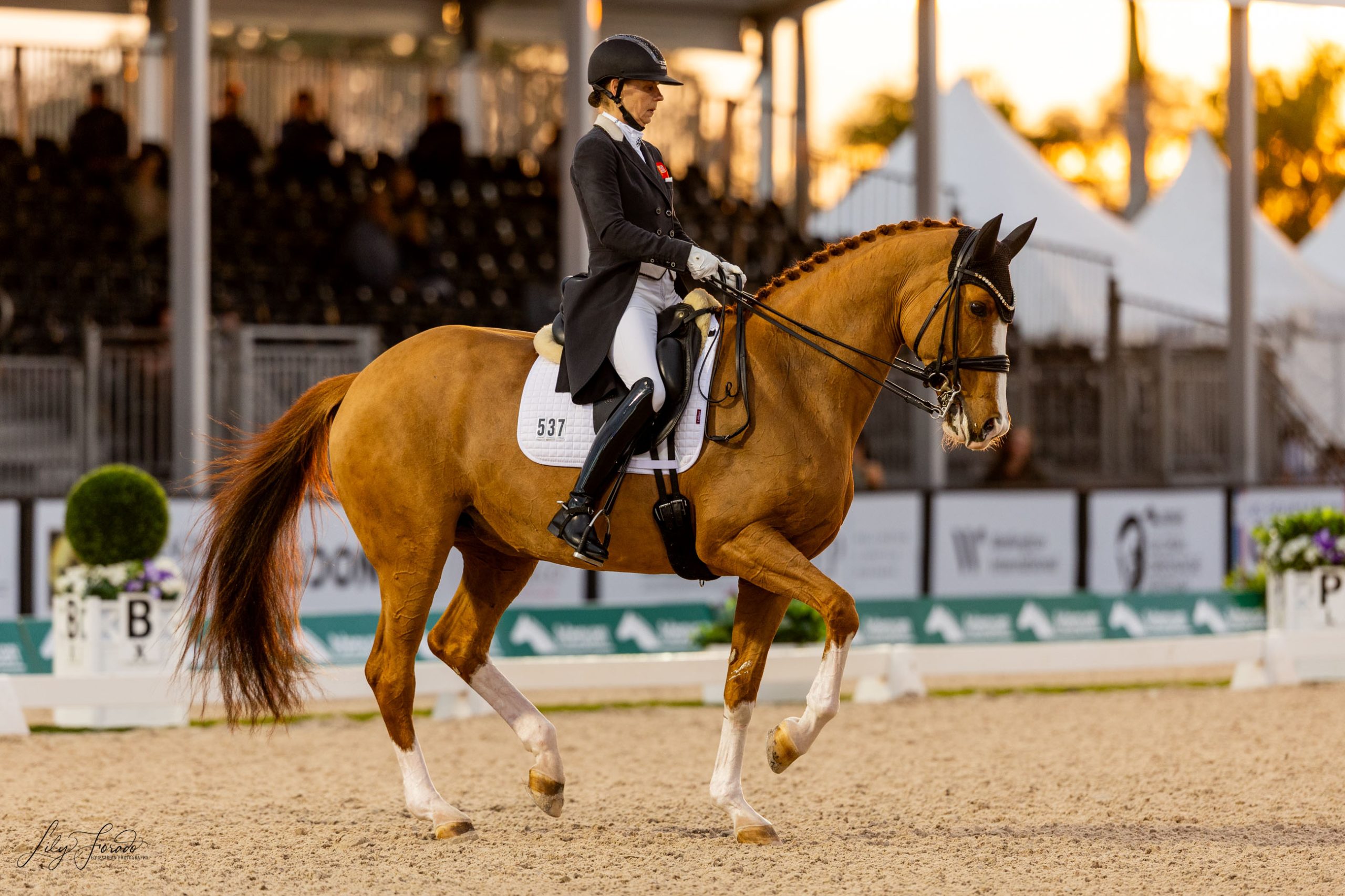 AGDF3 26: Susan Pape conquista el GP del CDI5* y Natalia Bacariza bate récord en San Jorge