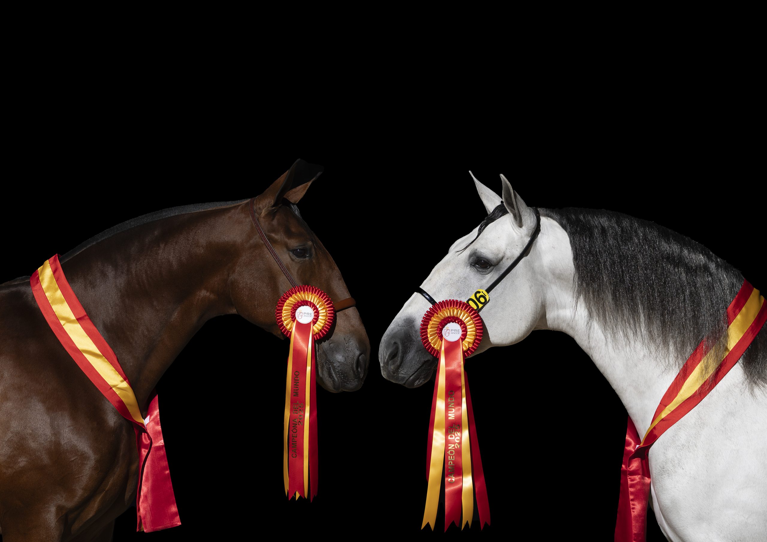 ANCCE  anuncia las fechas de SICAB 2026