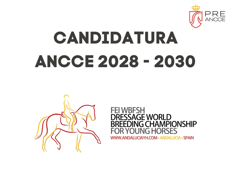ANCCE presenta su candidatura para organizar el Cto. del Mundo de CCJJ 2028-2030