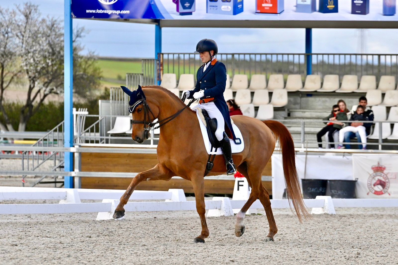 Alfonso Gormaz y su debut dorado con Divina Royal en el CDN3* de las Cadenas 