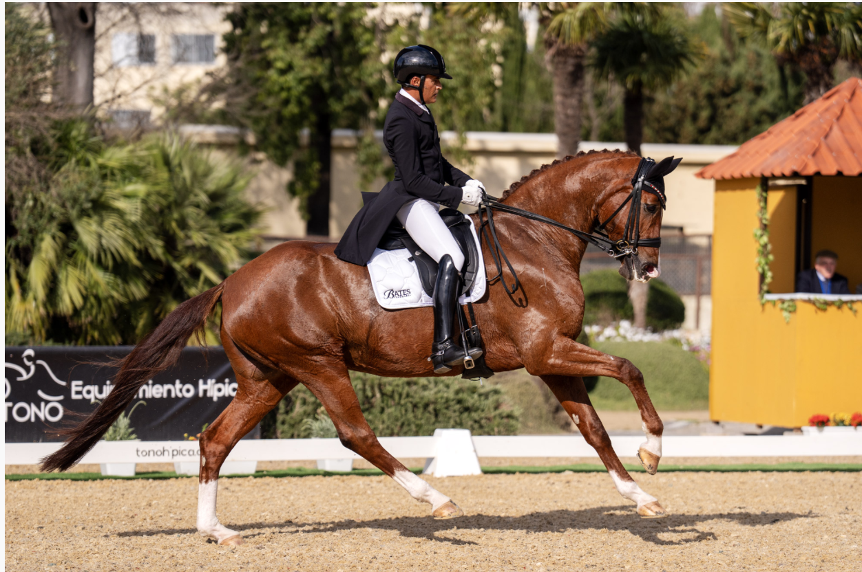 Mena y «Quatre-Quarts à L’Orange» firman un prometedor debut internacional en el CDI3* de Jerez 2026