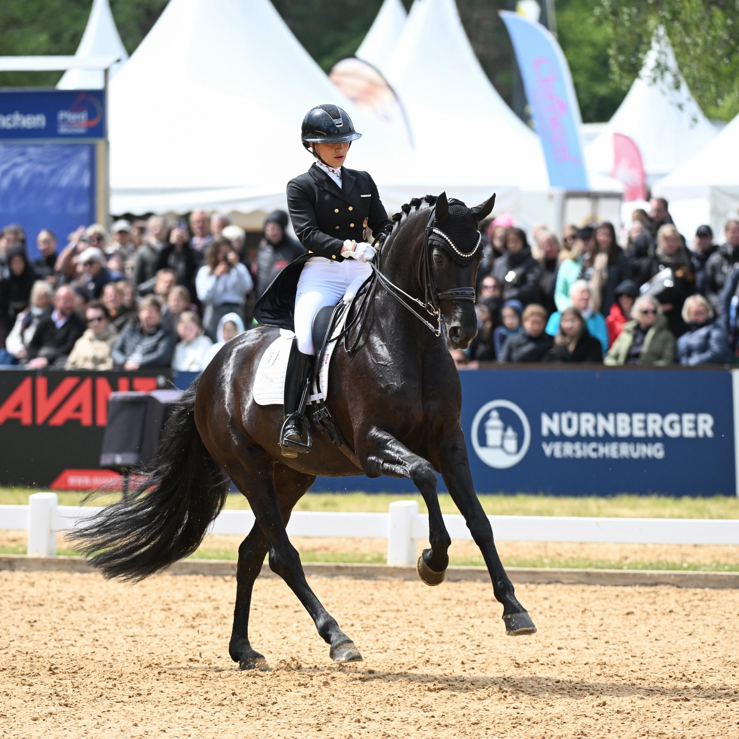 «Dante’s Pearl» brilla en el CDI5* de Múnich y confirma su ascenso meteórico