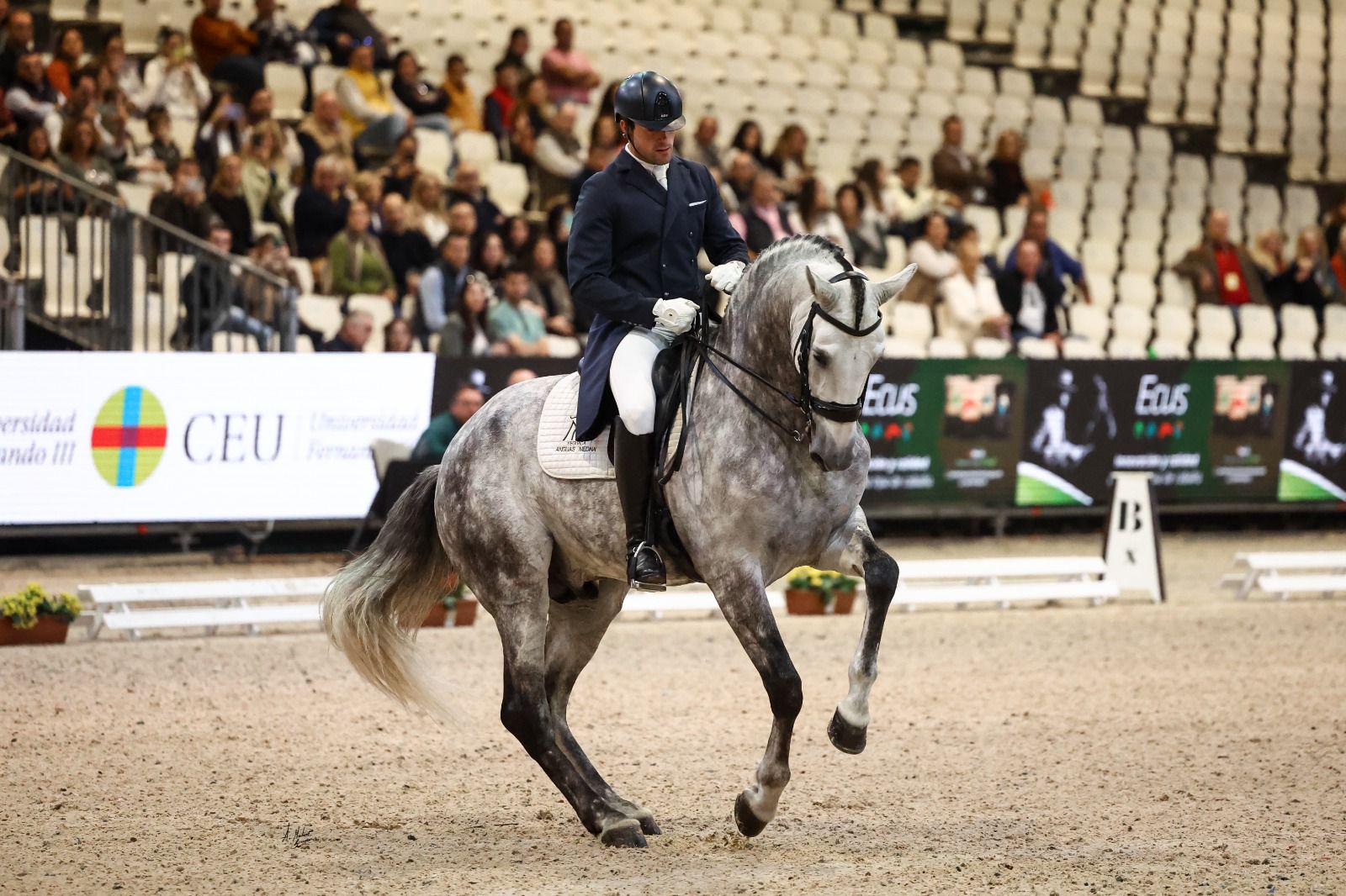 Debut de 70%: Brio de Tucaballoandaluz ilusiona en Gran Premio