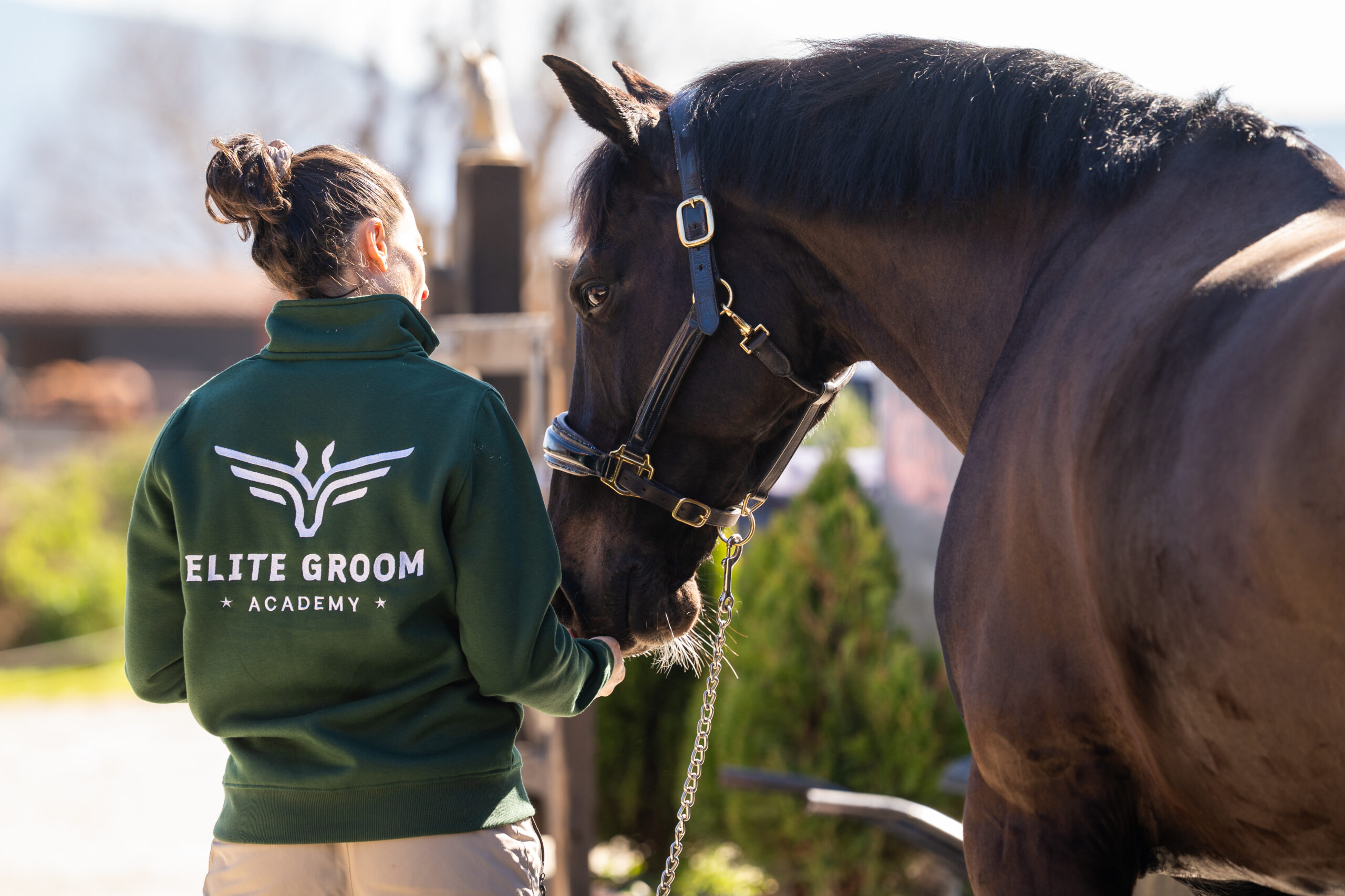 Nace Elite Groom Academy: formación especializada para los Grooms